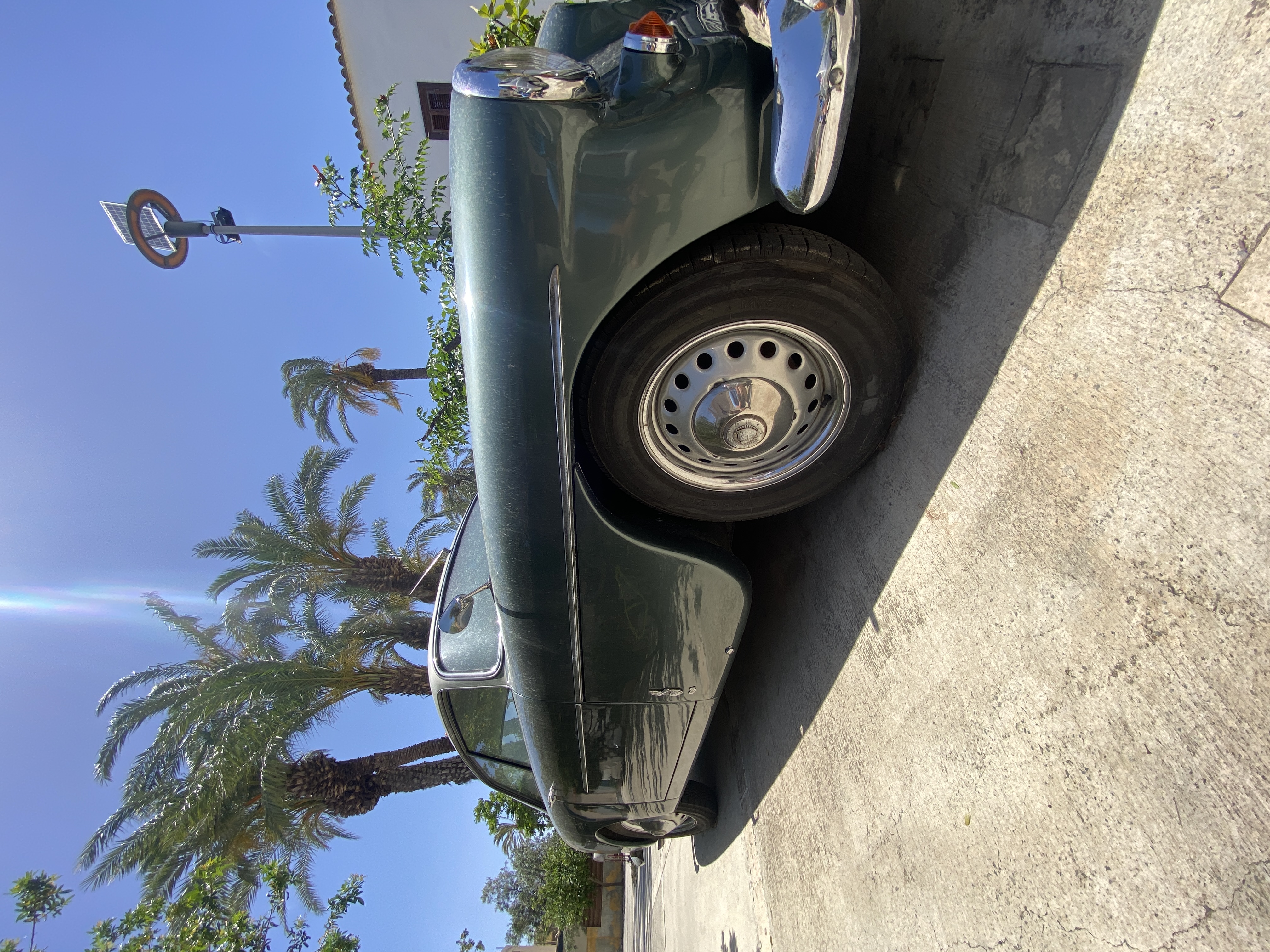 Vintage car parked among palm trees in Cyprus